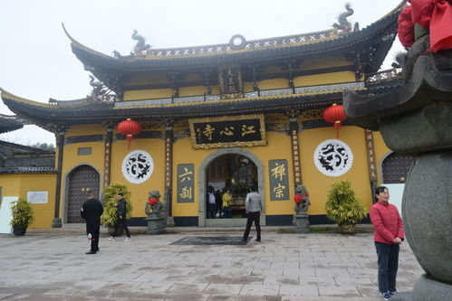 温州市区的河中有一座小岛,上面还有超过千年历史的寺庙