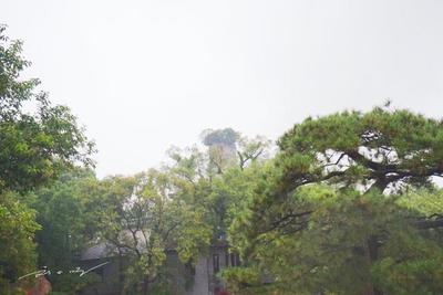 实拍温州江心屿,与厦门鼓浪屿齐名,为何却游客稀少、门庭冷清?