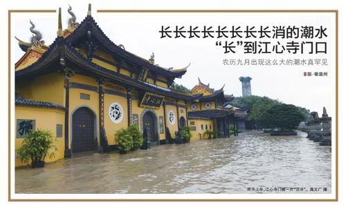 800多年前,江心屿曾遭遇温州史上最惨水灾 t它都渡了哪些台风劫