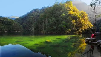 1350 世界火山奇观,夜游中华名山 温州 雁荡山 楠溪江动车3日游