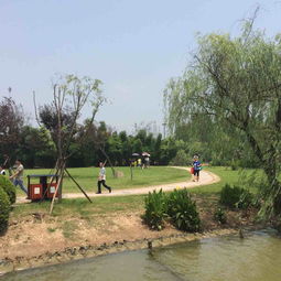 2019江心屿门票,温州江心屿游玩攻略,江心屿游览攻略路线 地址 门票价格