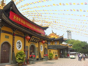 还在转发杨超越？宁波及周边最灵寺庙，杭州灵隐寺、温州江心寺都在这里！