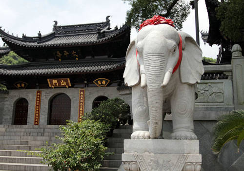 温州江心寺 石雕大象的别致之美