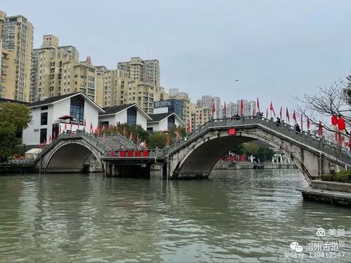 塘河宋韵映虎年，古寺钟声话新春——记温州宋韵塘河与江心寺的别样年味