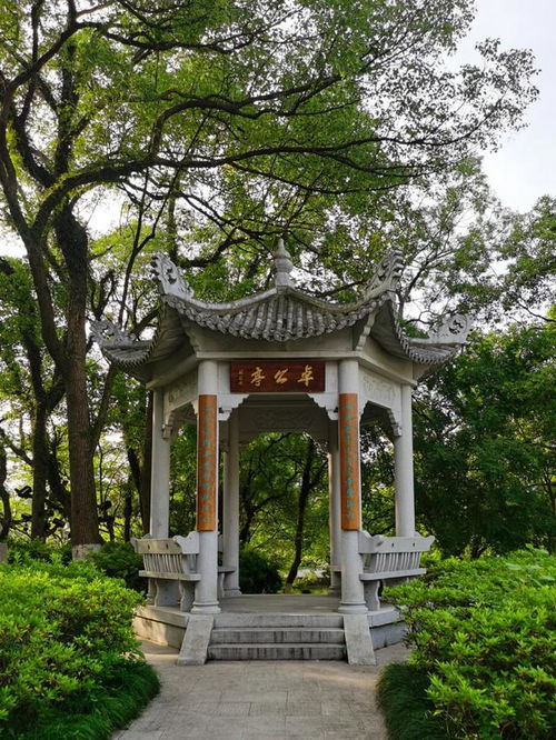 江心寺 弘一大师的避暑清修地与温州城中的“清凉结界”