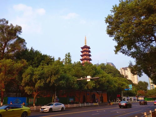 门启古韵 温州来福门与江心寺的对话